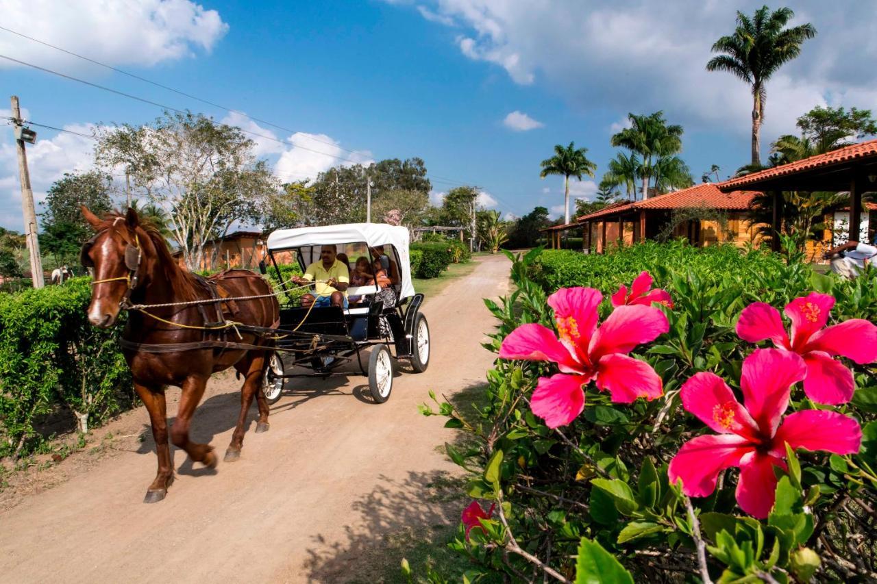 Hotel Fazenda Colibri Amargosa Extérieur photo